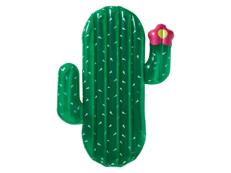 Luchtbed Cactus